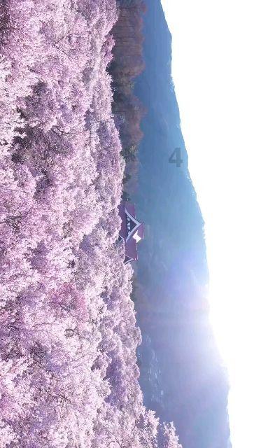 救援应届毕业生